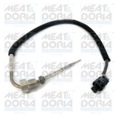 Sensor, exhaust gas temperature